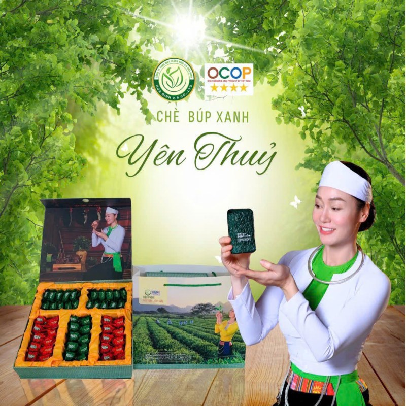 Chè búp xanh Yên Thủy - Hòa Bình - Đặc biệt (Trà ấm hộp 500gam; 50 gói x 10gam). Sản xuất theo tiêu chuẩn VietGAP, đạt chuẩn OCOP 4 SAO năm 2024.